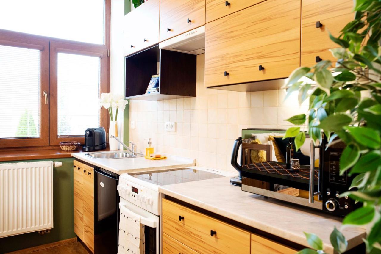 Apartmán u Horynů Ceska Trebova Exteriér fotografie