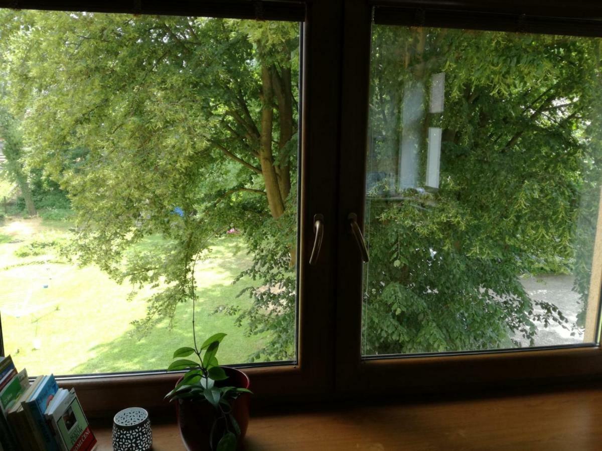 Apartmán u Horynů Ceska Trebova Exteriér fotografie